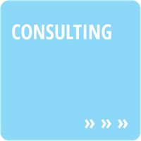 Consulting in Billerbeck - Schneider Consulting & Management für Logistik